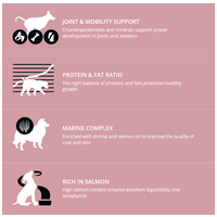 Profine Junior Large Salmon & Potatoes #5