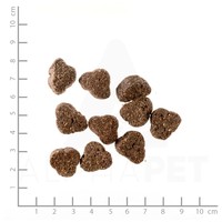 Belcando Junior Lamb & Rice | Bárányhúsos táp normál testméretű növendék kutyáknak #10