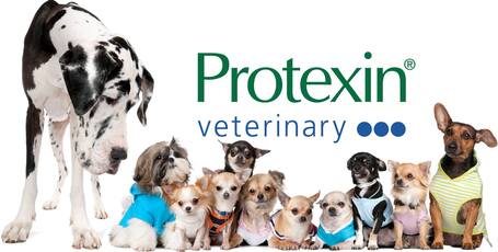 Protexin SereniCare nyugtató kutyáknak és macskáknak