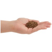 Acana First Feast eledel kölyökmacskáknak #8