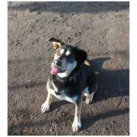 Stacy, 6 éves leányka #5