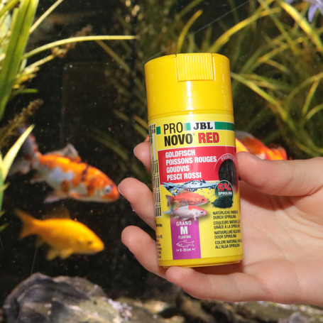 JBL ProNovo Red Grano M