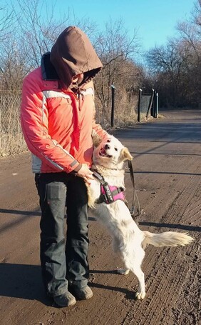 Bella, egy éves, szuka