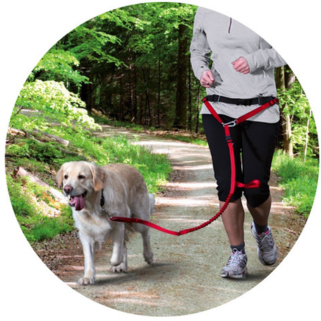 Speciális pórázok és kiegészítőik