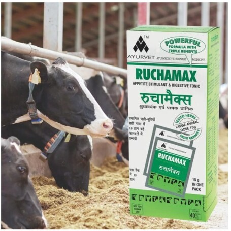 Ruchamax por - Bendőműködést és emésztést támogató gyógynövény-keverék