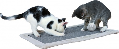 Trixie plüss szélű kaparószőnyeg labdával