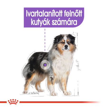 Royal Canin Medium Sterilised - Száraz táp ivartalanított, közepes testű felnőtt kutyák részére