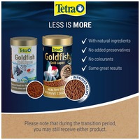 Tetra Goldfish Gold Japan #2