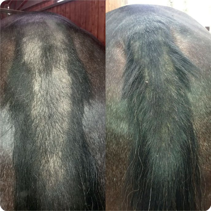 Union Bio Equilux - zoom