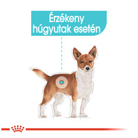 Royal Canin Mini Urinary Care - Száraz táp felnőtt kistestű kutyák részére az alsó hugyúti problémák megelőzéséért #2