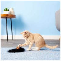 Kong Cat Wild Tails tollas labda #4