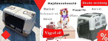 Ezeket szerezd be a nyári utazáshoz kutyádnak