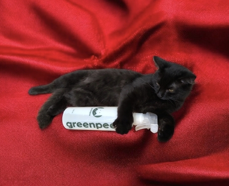 Greenpee vizelet- és szagsemlegesítő