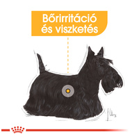 Royal Canin Dermacomfort - Nedves táp bőrirritációra hajlamos felnőtt kutyák részére #2