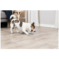 Trixie Snack Bell on a Strap - Jutalomfalat adagoló harang kötélen #10