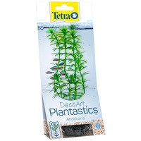 Tetra Anacharis plantă ornamentală pentru acvariu