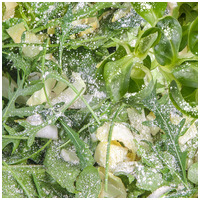 Sera Reptimineral H - Hüllő vitamin és ásványi anyag por #2