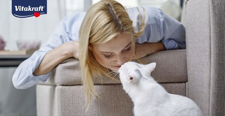 Vitakraft Poésie Délice Coalfish szószos eledel macskáknak alutasakban