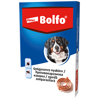 Zgardă Bolfo