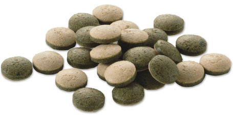 Tetra Pleco Tablets díszhal táptabletta növényevőknek