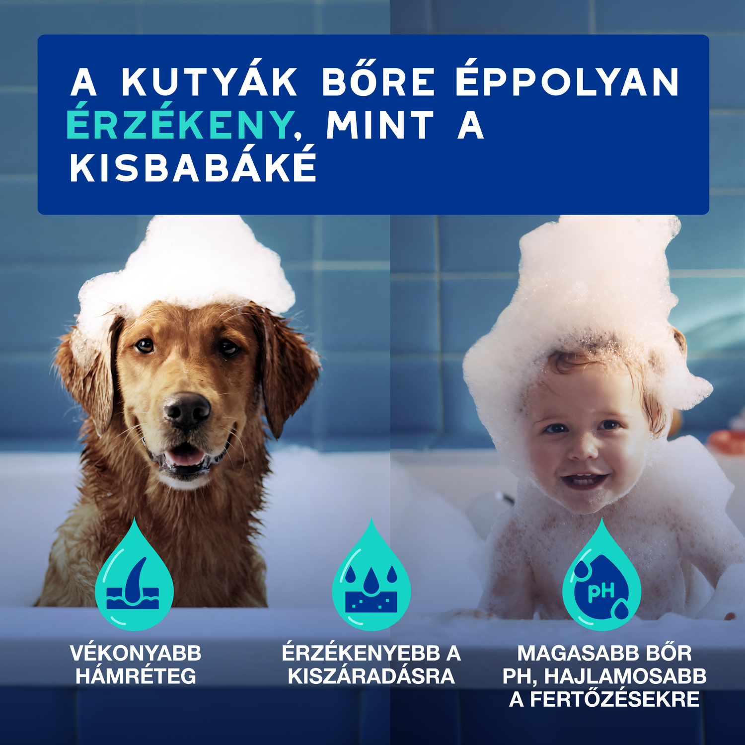 Douxo Spa șampon deodorant pentru câini - zoom