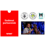 Yutipet RnD párnázott biztonsági kutyahám (Kék) #21