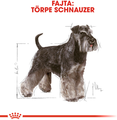 Royal Canin Miniature Schnauzer Adult - Törpe schnauzer felnőtt kutya száraz táp