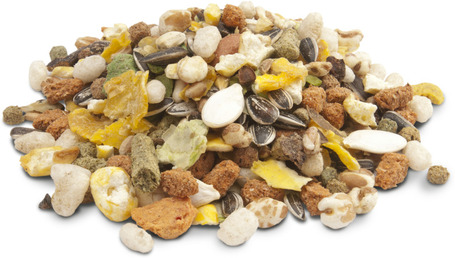 Versele-Laga Crispy Muesli Hamsters & Co