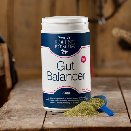Protexin Equine Gut Balancer pre- és probiotikumos takarmány kiegészítő lovaknak