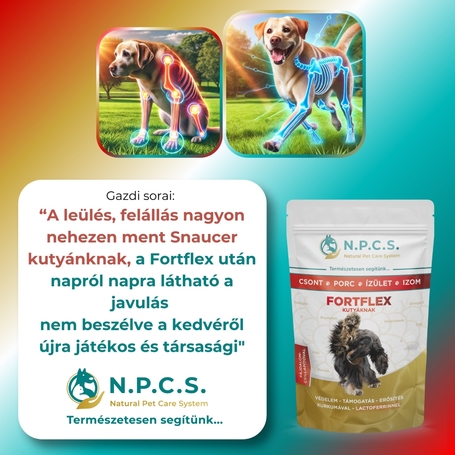 N.P.C.S. FortFlex - Csont, Porc, Ízület, Izom por kutyáknak