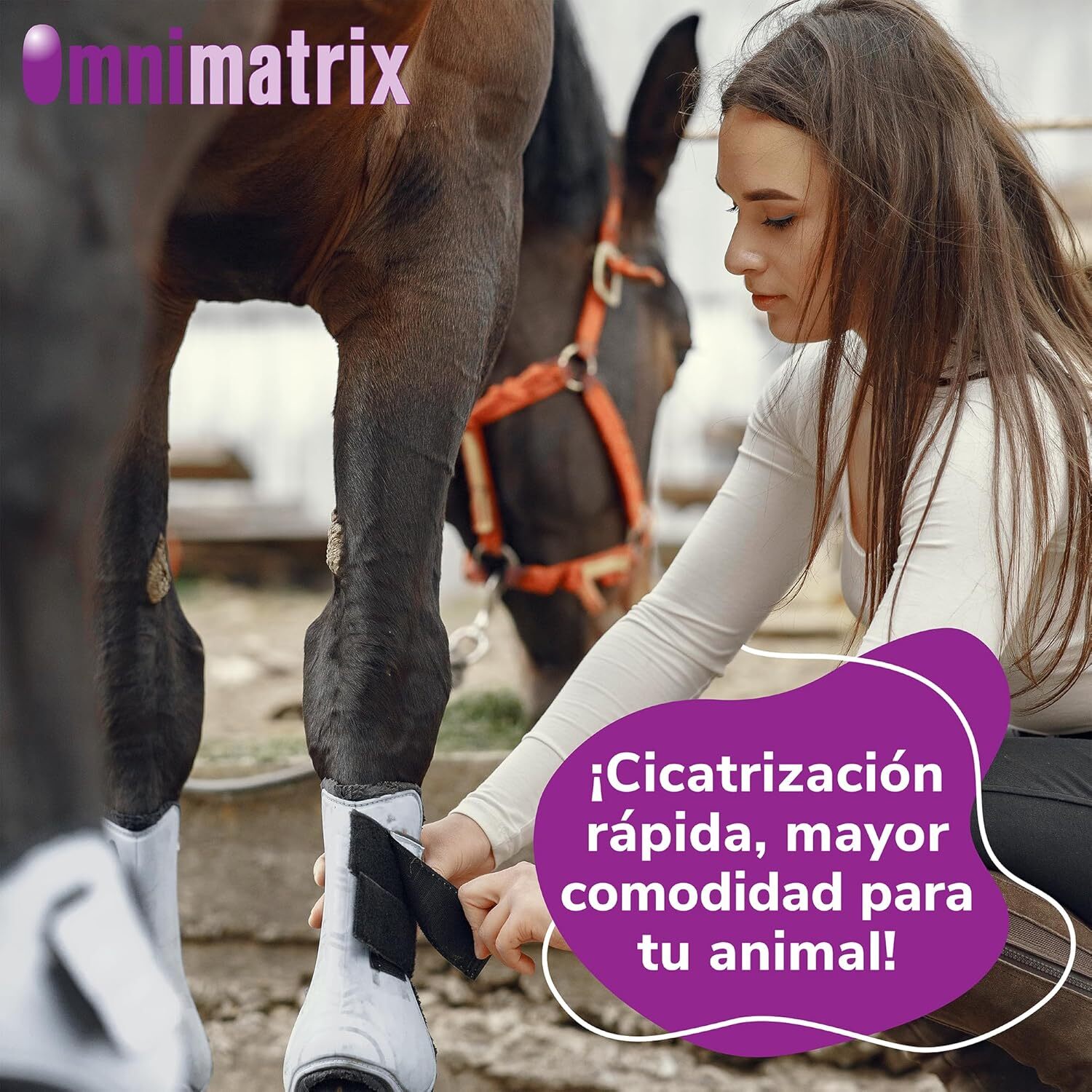 Omnimatrix cremă antiseptică și cicatrizantă pentru animale - zoom