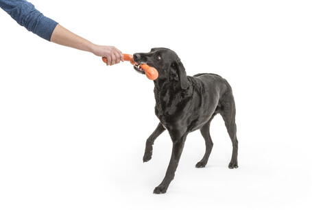 West Paw Zwig apport