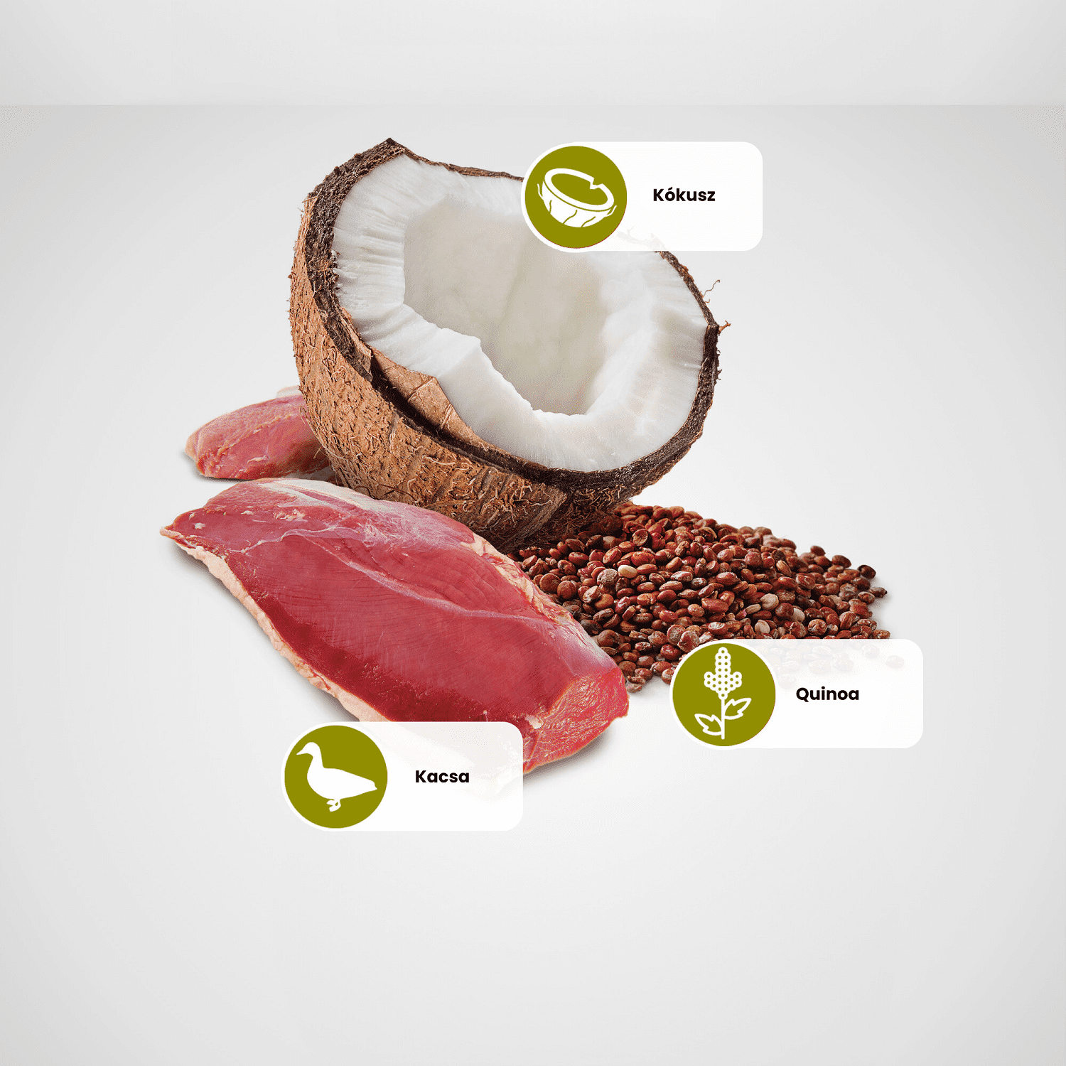 N&D Cat Quinoa Skin&Coat, Duck & Coconut konzerv macskáknak