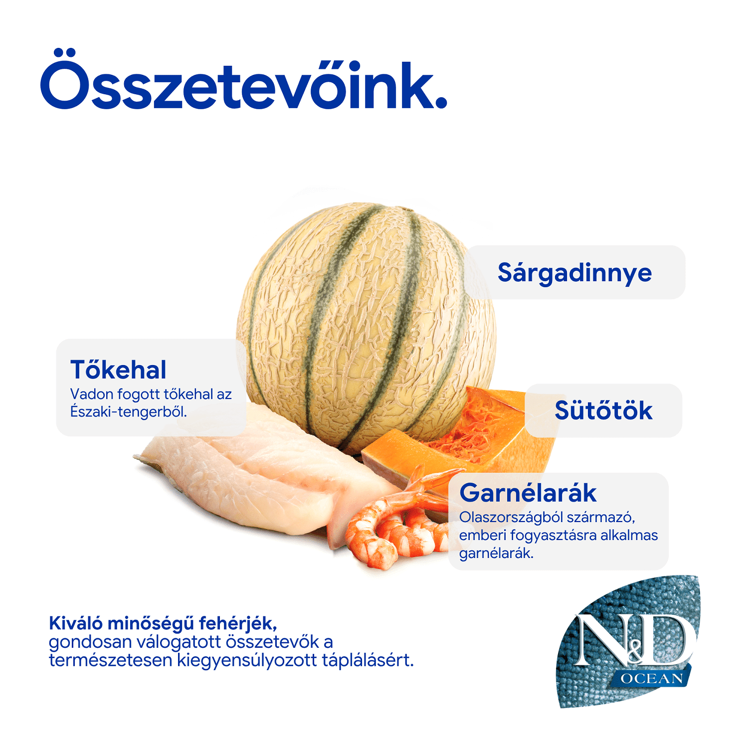 N&D Cat Ocean Kitten sütőtök, tőkehal, garnéla & sárgadinnye