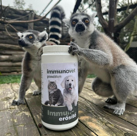 ImmunoVet Pets Immunerősítő granulátum
