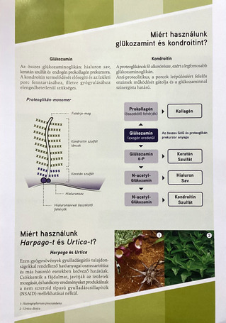 Omnicondro 20 ízületvédő tabletta kutyáknak és macskáknak