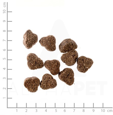 Belcando Junior Lamb & Rice | Bárányhúsos táp normál testméretű növendék kutyáknak