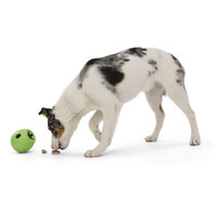 West Paw Rumbl - Jutalomfalattal tölthető labda #14