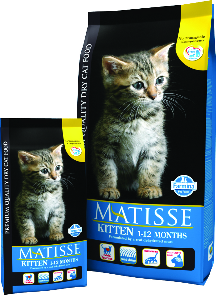 Matisse Kitten | Hrană pentru pui de pisică