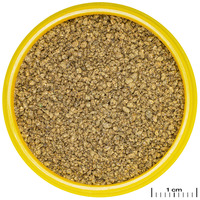 JBL ProNovo Killifish Click #2