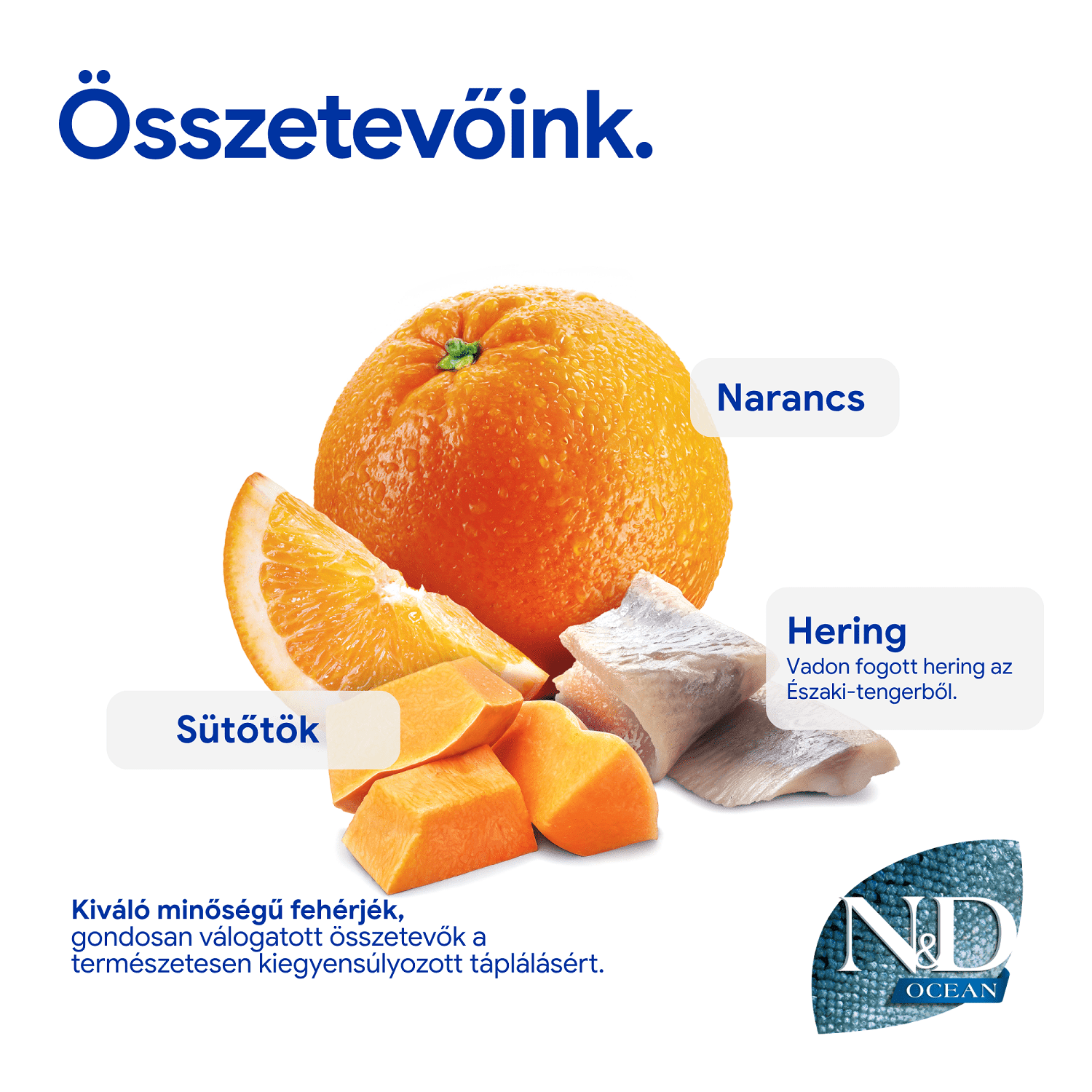 N&D Cat Grain Free Herring, Pumpkin and Orange - zoom