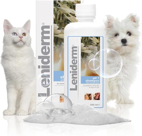 Leniderm viszketéscsillapító hatású sampon