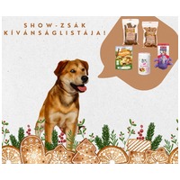 Showzsák, 6 hónapos keverék fiúcska #7