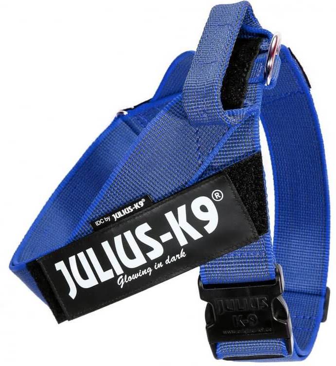 Julius-K9 IDC Color & Gray - Ham de chingi