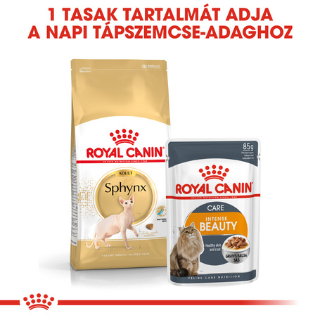 Royal Canin Sphynx Adult - Szfinx felnőtt macska száraz táp
