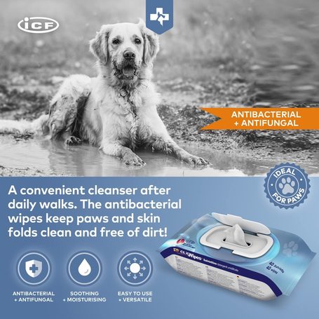 CLX Wipes fertőtlenítő törlőkendő kutyáknak és macskáknak