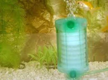 Panzi szivacsos mikro szűrők