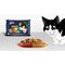 Felix Fantastic Duo hrană pentru pisici la pliculeț - Selecție de casă în aspic - Multipack