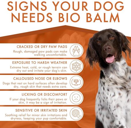 Dermoscent Bio Balm orr- és mancsápoló balzsam kutyáknak