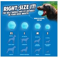 Chuckit! Med Rebounce Ball (2 db labda / szett) #6